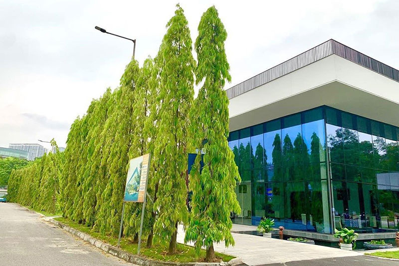 Tổ hợp dịch vụ Ẩm thực & Chăm sóc sức khỏe tại Trung tâm Hội nghị quốc gia Tổ hợp dịch vụ Ẩm thực & Chăm sóc sức khỏe tại Trung tâm Hội nghị quốc gia